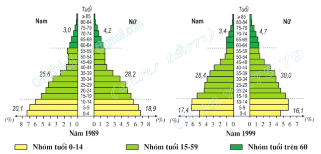 Hình 5.1.Tháp dân số Việt Nam năm 1989 và năm 1999, trang 18, lop 9