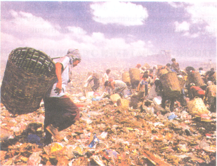 Hinh 42. Bãi rác ở Ma-ni-la (Philippin)